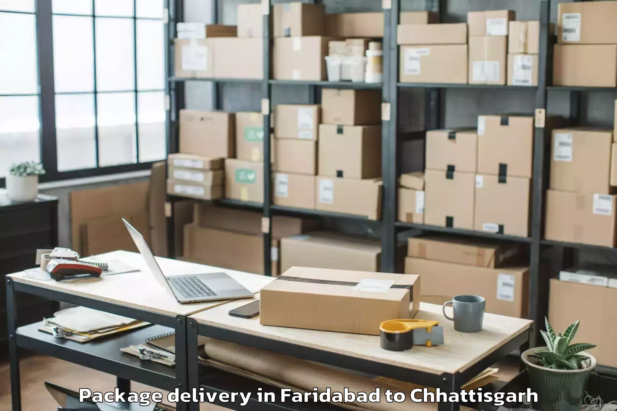 Hassle-Free Faridabad to Malkharoda Package Delivery